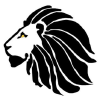 Pantheranetwork.com logo