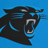 Panthers.com logo