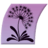 Paperwishes.com logo