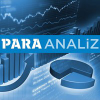 Paraanaliz.com logo