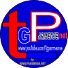 Parmense.net logo