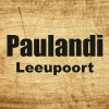 Paulandi.co.za logo