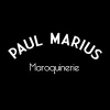 Paulmarius.fr logo