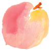 Peachmode.com logo