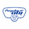 Pegah.ir logo