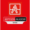 Pegemakademi.com logo