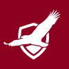 Pekininsurance.com logo