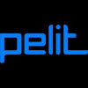 Pelit.fi logo
