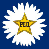 Peointernational.org logo
