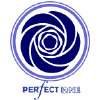 Perfect.one logo