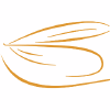 Perhokalastajat.net logo