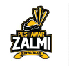 Peshawarzalmi.com logo