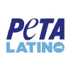 Petalatino.com logo