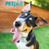 Petplus.com logo