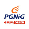 Pgnig.pl logo