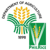 Philrice.gov.ph logo