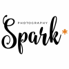 Photographyspark.com logo