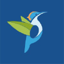 Picbleu.fr logo