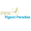Pipa.be logo