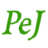 Pistaenjuego.com logo