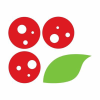 Pizzavillage.it logo