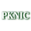 Pknic.net.pk logo