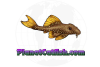 Planetcatfish.com logo