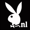 Playboy.nl logo