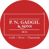 Pngadgilandsons.com logo