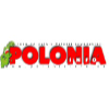 Poloniainfo.se logo