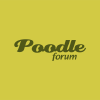 Poodleforum.com logo