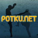Potku.net logo