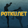 Potku.net logo