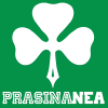 Prasinanea.gr logo