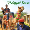 Pratapgarhfarms.com logo