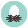 Pregnantchicken.com logo