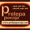 Prelepapoezija.com logo