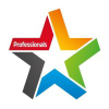Professionals.co.nz logo