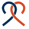 Promisekit.org logo