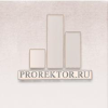 Prorektor.ru logo