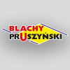 Pruszynski.com.pl logo
