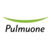 Pulmuone.kr logo
