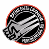Puncherstore.ru logo