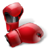 Punchline.fr logo