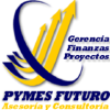 Pymesfuturo.com logo