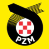 Pzm.pl logo