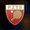 Pzts.pl logo