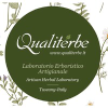 Qualiterbe.it logo