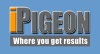 Racingpigeonauction.com logo