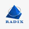 Radixweb.com logo
